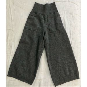 Aritzia Wilfred Brion pants